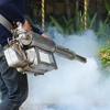 Professional Pest Control Services gallery