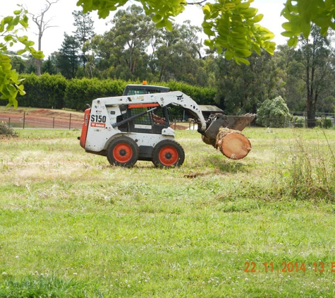 Woodstock Tree and Stump Removal - Coldstream, VIC