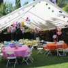 Nick's Canopy Rentals gallery