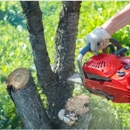 EI Gabilan Tree Service - Arborists