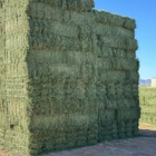 White Stallion Hay & Ranch