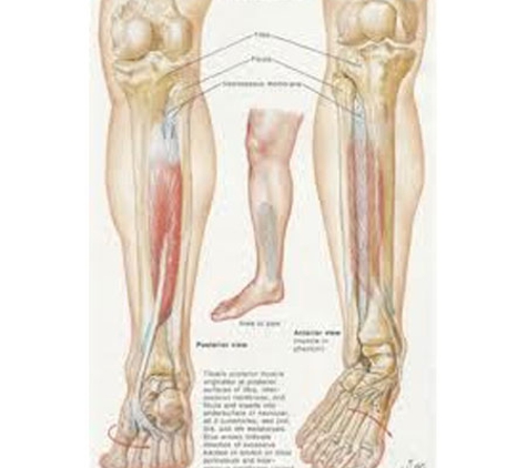 All Podiatry Services - Parkside, SA