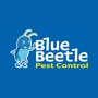 Blue Beetle Pest Control