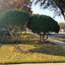 True Care Services - Tree Service