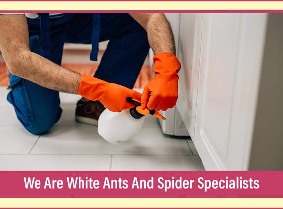 Murray Valley Pest Control - Yarroweyah, VIC. We Are White Ants And Spider Specialists