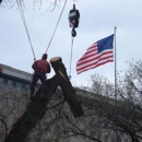 Patrick Musser Tree Service Inc. - Arborists