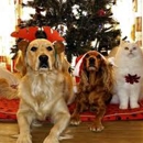 Woof Gang Bakery & Grooming Westlake - Dog & Cat Grooming & Supplies
