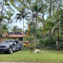 Flo Cuts Landscaping Tree Trimming and Pressure Cleaning - Property Maintenance
