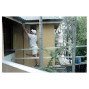 Gallery Image Number 2