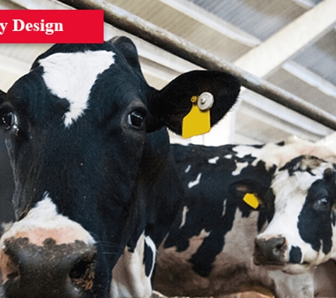 Agri Tech Services - Devonport, TAS. Dairy Design