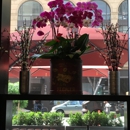 Sakana Sushi Lounge DTLA - Japanese Restaurants