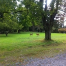 Ananda Ashram- Yoga Society of New York - Yoga Instruction