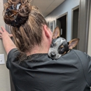 VCA North Idaho Animal Hospital - Pet Services