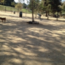 Arroyo Seco Park / Dog Park - Parks