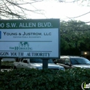 Young & Company CPAs - Accountants-Certified Public