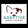 Adaptive Canine Training gallery