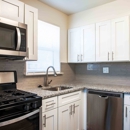 Camp Hill Plaza Apartment Homes - Apartments