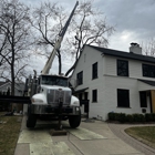 JCS Tree Care Professionals