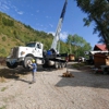 Aspen Tree Service - SavATree gallery