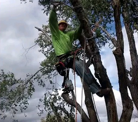 The Tree Professional LLC - Reno, NV