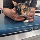 VCA Venture Animal Hospital - Pet Services
