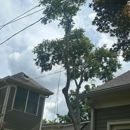 Right Choice Trees