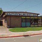 Antioch Muffler