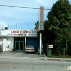 Lucky Dog Grooming Co