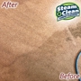 Steam & Clean Carpet Cleaning