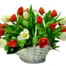 Glamorous Incredible Designs - Florists