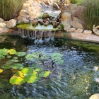 Tim's Aquarium & Pond Service