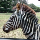 Harmony Park Safari Drive Thru - Parks