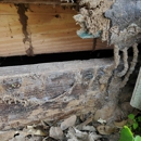 Bug-A-Meister Pest Control LLC - Pest Control Services