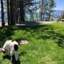 Tahoe State Recreation Area