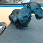 Petsense by Tractor Supply