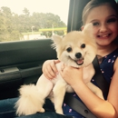 Blue Ribbon Dog Grooming
