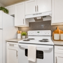 Lakewood Apartment Homes - Apartments