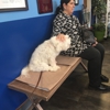 Paws & Feathers Veterinary Clinic Inc gallery