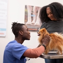 Banfield Pet Hospital - Pet Services