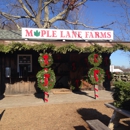 Maple Lane Farm & Market - Fruit & Vegetable Markets