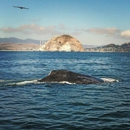 Morro Bay Boat Charters - Boat Tours