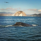 Morro Bay Boat Charters