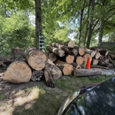 Anthony's Tree Service & Landscape - Tree Service