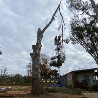 Federation Tree Care - Corowa, NSW