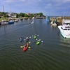 Nature Adventures on Shem Creek gallery