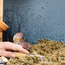 Go Green Pest Solutions - Pest Control Equipment & Supplies