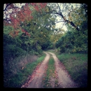 Kensington Metropark - Golf Courses