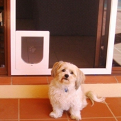 Gallery Image Number 7