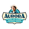 Aurora Pro Services | HVAC, Plumbing, Electrical, & Roofing gallery