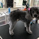 Owasso Dog Grooming by Sara - Pet Grooming